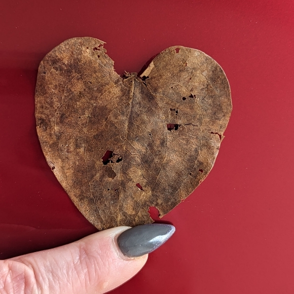 🚨Greeneyediva78🚨 FOLLOW ME ON INSTAGRAM🚨 LET'S GROW TOGETHER ☮️💜💚 - Picture 12 of 15